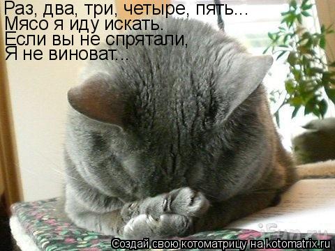 Котоматрица: Раз, два, три, четыре, пять... Мясо я иду искать. Если вы не спрятали, Я не виноват...