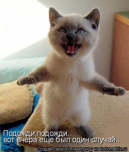 Котоматрица: Подожди,подожди.. вот вчера еще был один случай...