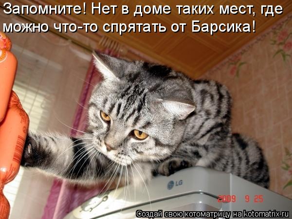 Запомните! Нет в доме таких мест, где можно что-то спрятать от Барсика!... Котоматрица: Запомните! Нет в доме таких мест, где можно что-то спрятать от Барсика!