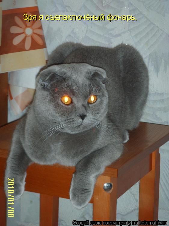 Котоматрица: Зря я съелвключёный фонарь.