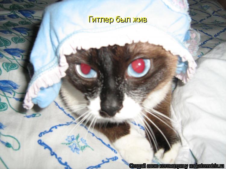 Котоматрица: Гитлер был жив