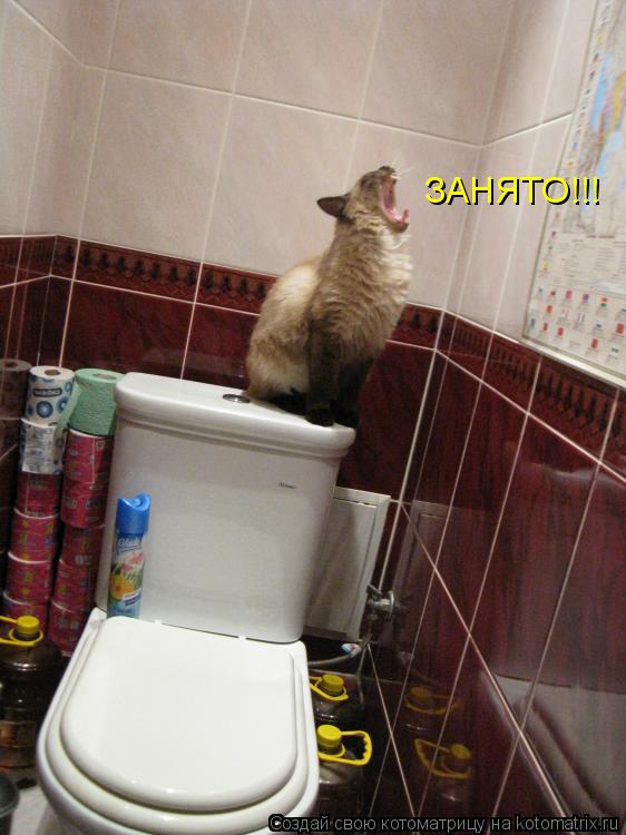 ЗАНЯТО!!!... Котоматрица: ЗАНЯТО!!!