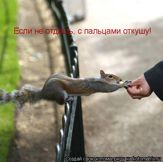 Котоматрица: Если не отдашь, с пальцами откушу!