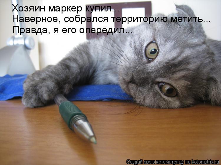 Хозяин маркер купил... Наверное, собрался территорию метить... Правда, я его опередил...... Котоматрица: Хозяин маркер купил... Наверное, собрался территорию метить... Правда, я его опередил...