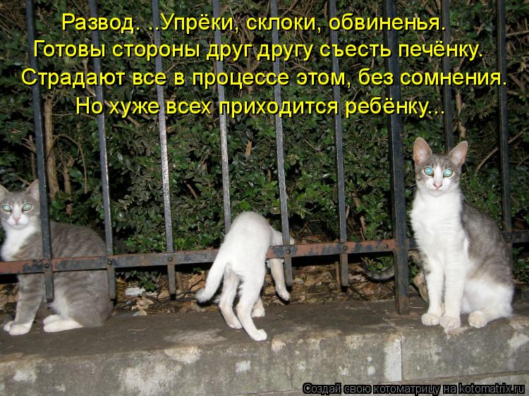 Развод. ..Упрёки, склоки, обвиненья. Готовы стороны друг другу съесть печёнку. Страдают все в процесс... Котоматрица: Развод. ..Упрёки, склоки, обвиненья. Готовы стороны друг другу съесть печёнку. Страдают все в процессе этом, без сомнения. Но хуже всех приход