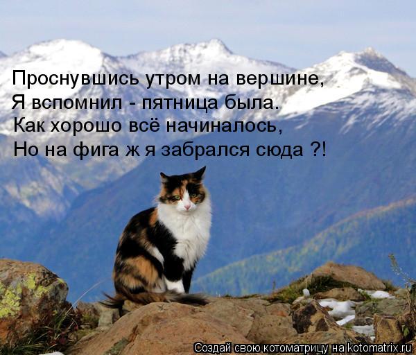 Котоматрица: Проснувшись утром на вершине, Я вспомнил - пятница была. Как хорошо всё начиналось, Но на фига ж я забрался сюда ?!