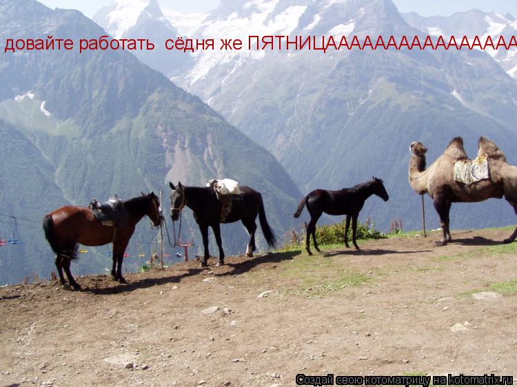 довайте работать сёдня же ПЯТНИЦАААААААААААААААААААА... Котоматрица: довайте работать сёдня же ПЯТНИЦАААААААААААААААААААА