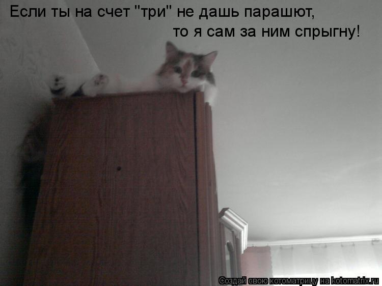Котоматрица: Если ты на счет "три" не дашь парашют, то я сам за ним спрыгну!