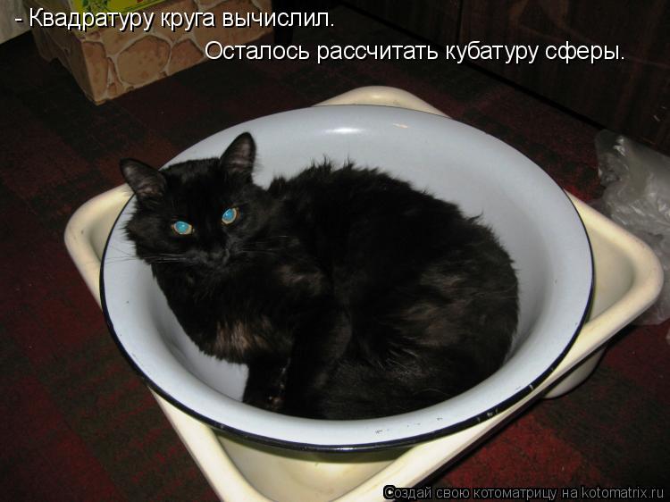 Котоматрица: - Квадратуру круга вычислил. Осталось рассчитать кубатуру сферы.