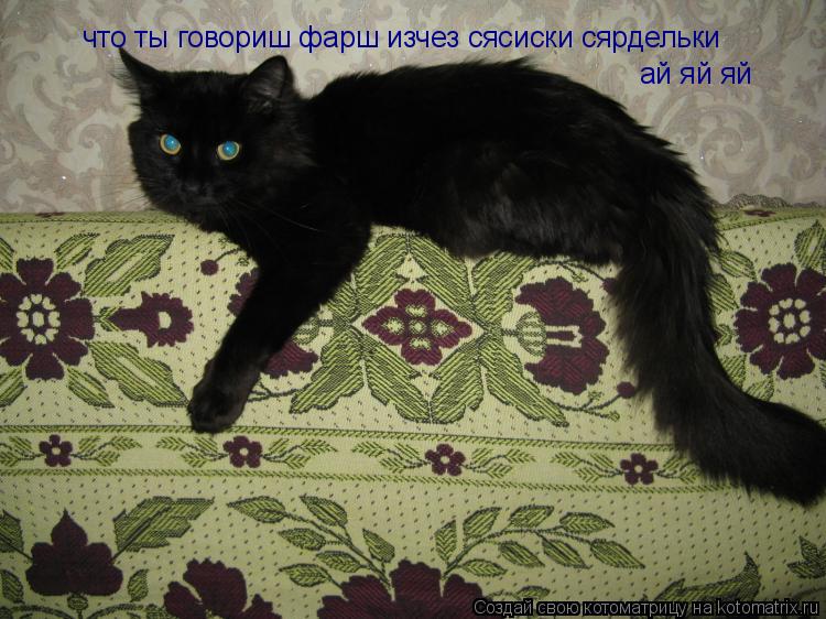 Котоматрица: что ты говориш фарш изчез сясиски сярдельки  ай яй яй