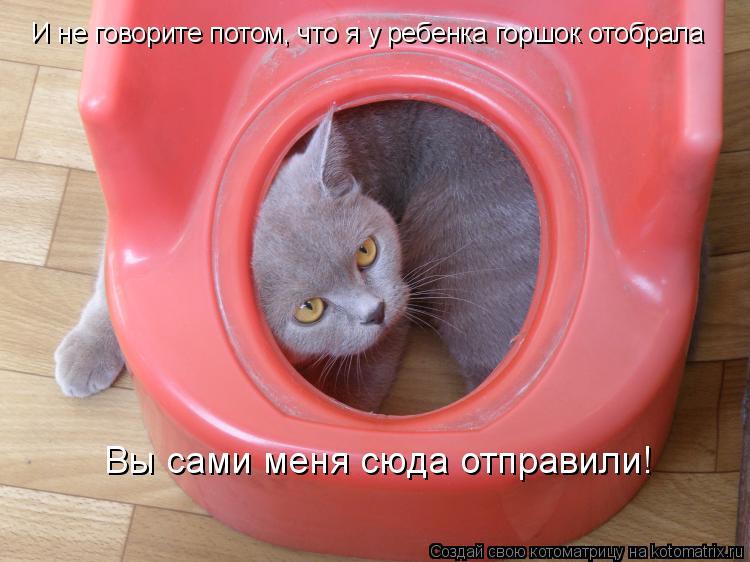 Котоматрица: И не говорите потом, что я у ребенка горшок отобрала Вы сами меня сюда отправили!