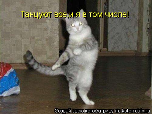 Котоматрица: Танцуют все,и я в том числе!