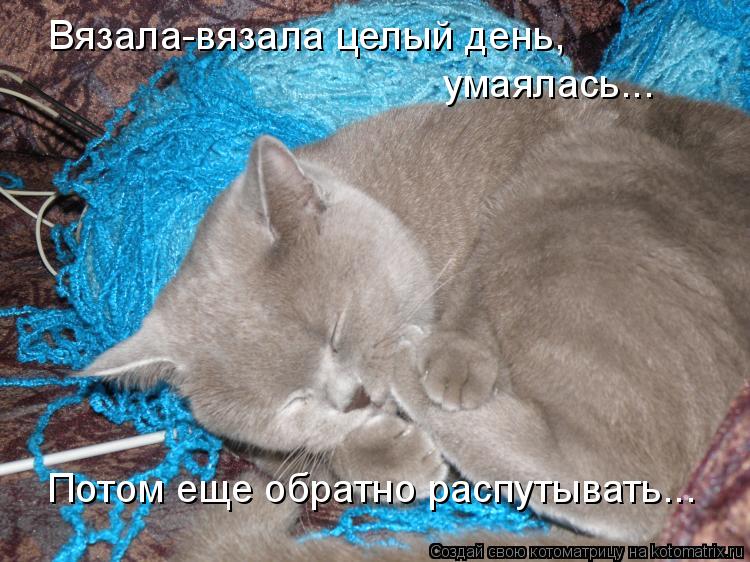 Котоматрица: Вязала-вязала целый день,  умаялась... Потом еще обратно распутывать...