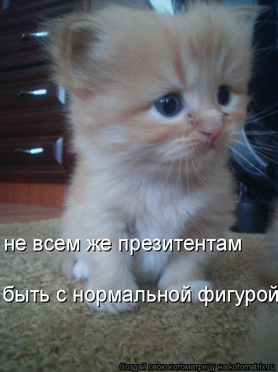 Котоматрица: не всем же презитентам  быть с нормальной фигурой!