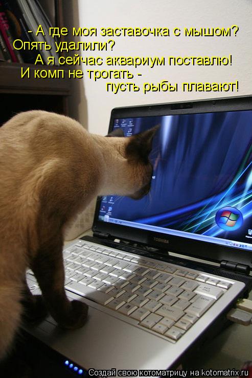 Котоматрица: - А где моя заставочка с мышом? Опять удалили? А я сейчас аквариум поставлю! И комп не трогать -  пусть рыбы плавают!