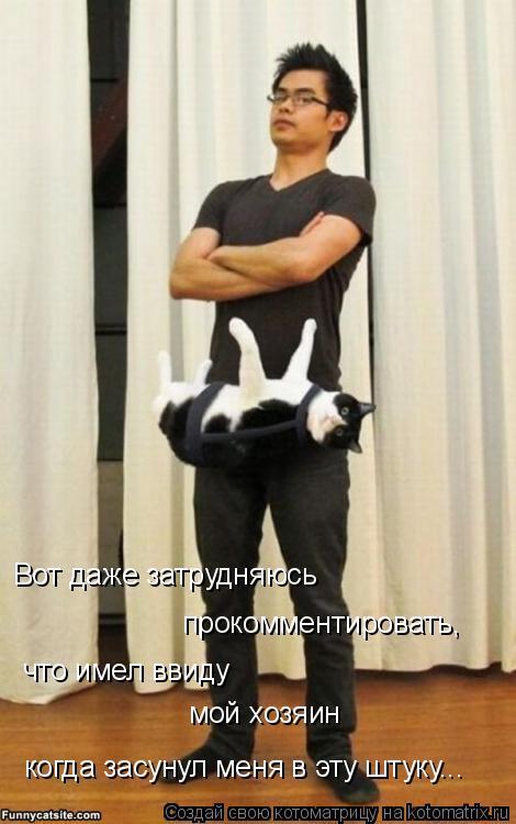 Котоматрица: Вот даже затрудняюсь  прокомментировать, что имел ввиду мой хозяин когда засунул меня в эту штуку...