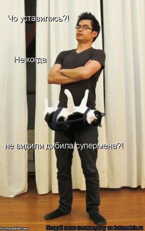 Котоматрица: Чо уставились?! Не когда  не видили дибила супермена?!