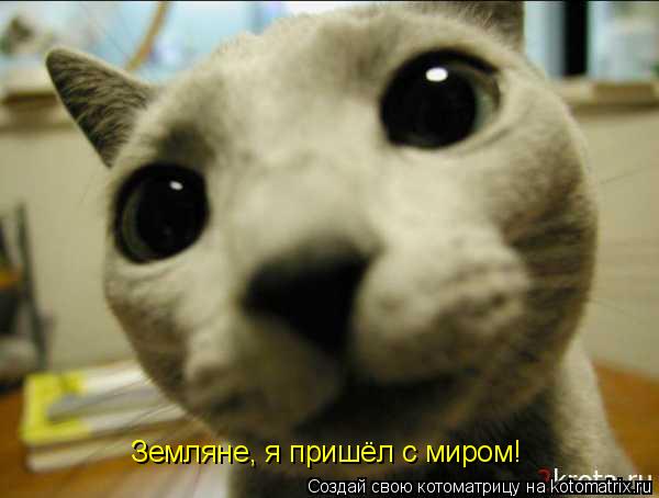Котоматрица: Земляне, я пришёл с миром!
