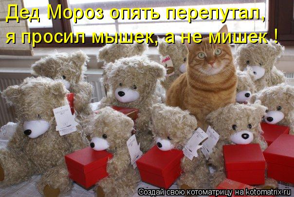 Дед Мороз опять перепутал, я просил мышек, а не мишек !... Котоматрица: Дед Мороз опять перепутал, я просил мышек, а не мишек !