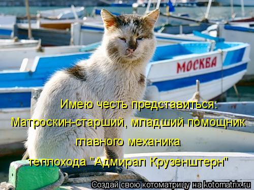 Матроскин-старший, младший помощник главного механика теплохода "Адмирал Крузенштерн" Имею честь пре... Котоматрица: Матроскин-старший, младший помощник главного механика теплохода "Адмирал Крузенштерн" Имею честь представиться:
