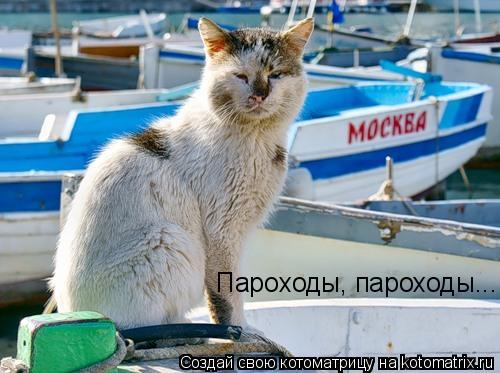 Пароходы, пароходы...... Котоматрица: Пароходы, пароходы...