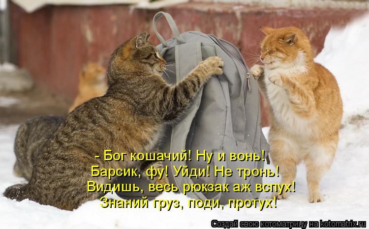 Котоматрица: - Бог кошачий! Ну и вонь!  Барсик, фу! Уйди! Не тронь!  Видишь, весь рюкзак аж вспух!   Знаний груз, поди, протух!