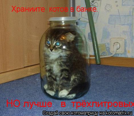 Храниите котов в банке. НО лучше в трёхлитровых.... Котоматрица: Храниите котов в банке. НО лучше в трёхлитровых.