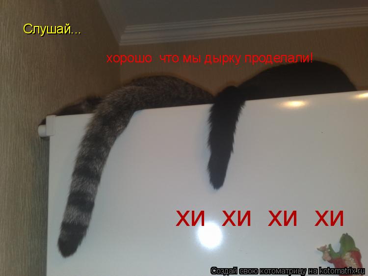 Котоматрица: Слушай... хорошо  что мы дырку проделали! хи  хи  хи  хи