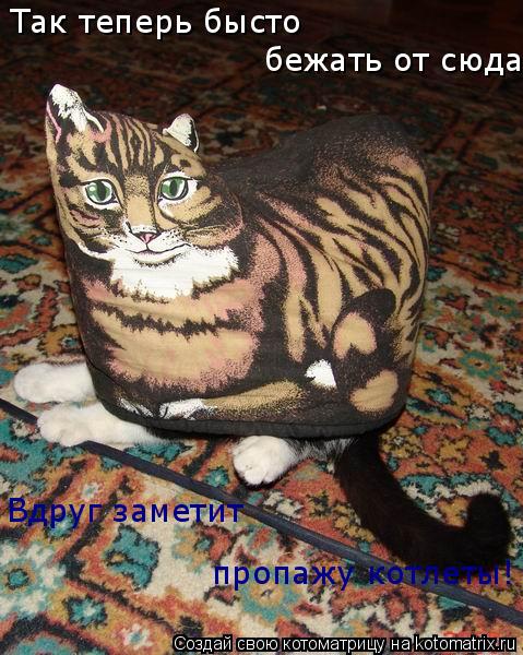 Котоматрица: Так теперь бысто  бежать от сюда! Вдруг заметит пропажу котлеты!