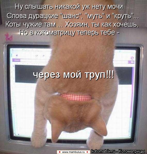 Котоматрица: Ну слышать никакой уж нету мочи Слова дурацкие "шанс", "муть" и "круть"... Коты чужие там ... Хозяин, ты как хочешь, Но в котоматрицу теперь тебе -  