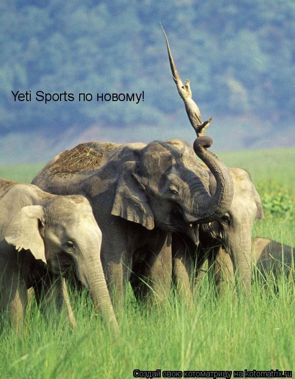 Котоматрица: Yeti Sports по новому!