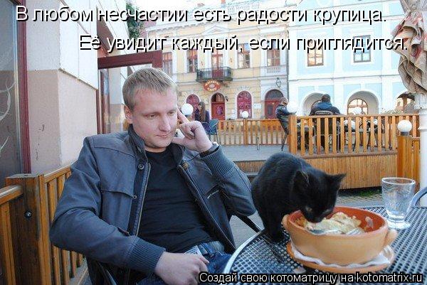 Котоматрица: В любом несчастии есть радости крупица… В любом несчастии есть радости крупица…  Её увидит каждый, если приглядится.   Её увидит каждый, ес