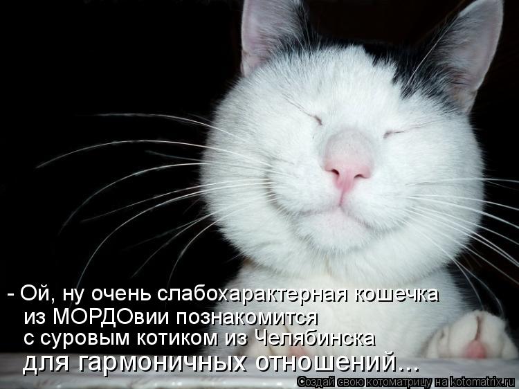 - Ой, ну очень слабохарактерная кошечка из МОРДОвии познакомится с суровым котиком из Челябинска для... Котоматрица: - Ой, ну очень слабохарактерная кошечка из МОРДОвии познакомится с суровым котиком из Челябинска для гармоничных отношений...