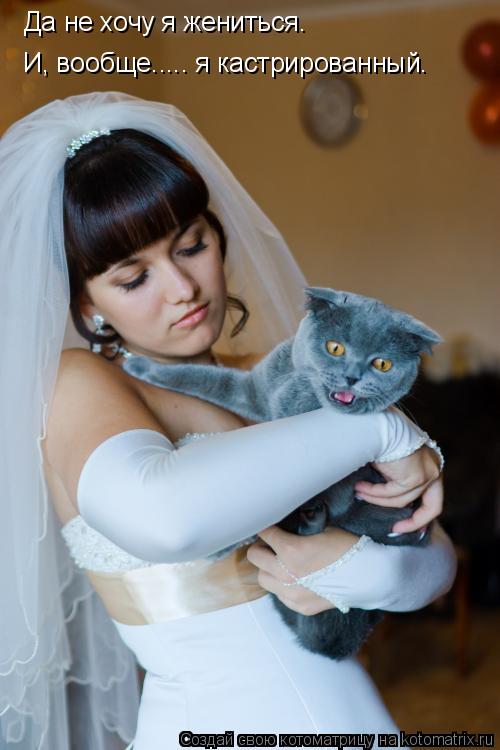 Котоматрица: Да не хочу я жениться. И, вообще..... я кастрированный.