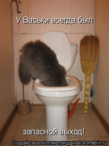 Котоматрица: У Васьки всегда был запасной выход!