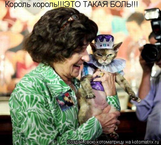 Котоматрица: Король король!!!ЭТО ТАКАЯ БОЛЬ!!!