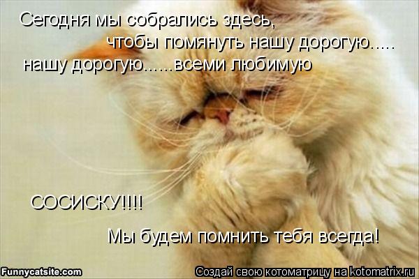 Котоматрица: Сегодня мы собрались здесь, чтобы помянуть нашу дорогую..... нашу дорогую......всеми любимую СОСИСКУ!!!! Мы будем помнить тебя всегда!