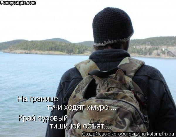 Котоматрица: На границе тучи ходят хмуро.... Край суровый тишиной объят....