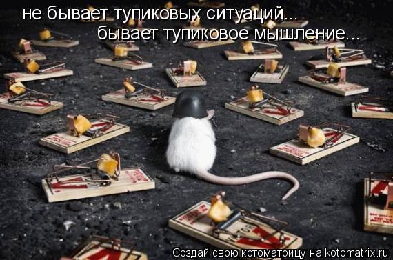 не бывает тупиковых ситуаций... бывает тупиковое мышление...... Котоматрица: не бывает тупиковых ситуаций... бывает тупиковое мышление...