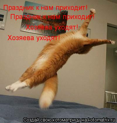 Котоматрица: Праздник к нам приходит! Праздник к нам приходит! Хозяева уходят! Хозяева уходят!