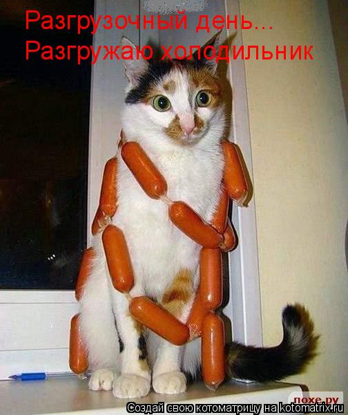 Разгрузочный день... Разгружаю холодильник... Котоматрица: Разгрузочный день... Разгружаю холодильник