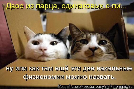 ну или как там ещё эти две нахальные физиономии можно назвать. Двое из ларца, одинаковых с ли...... Котоматрица: ну или как там ещё эти две нахальные физиономии можно назвать. Двое из ларца, одинаковых с ли...