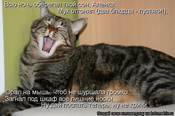 Орал на мышь, чтоб не шуршала громко... Мух отгонял (два блюдца - пустяки!), Загнал под шкаф все лишн... Котоматрица: Орал на мышь, чтоб не шуршала громко... Мух отгонял (два блюдца - пустяки!), Загнал под шкаф все лишние носки... Всю ночь оберегал твой сон, Аленк