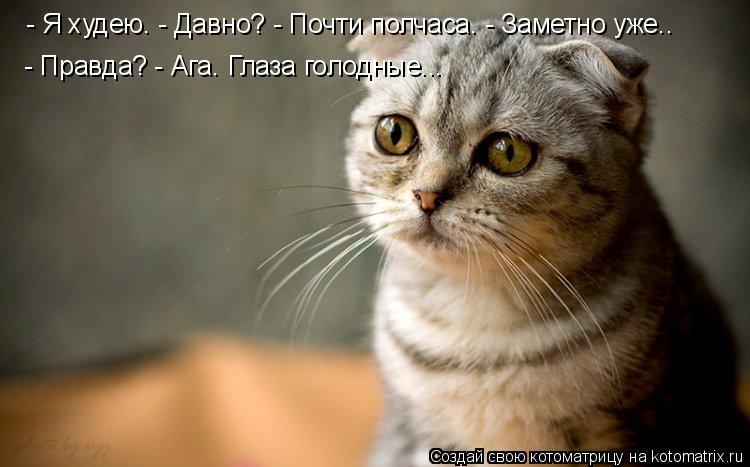 - Я худею. - Давно? - Почти полчаса. - Заметно уже.. - Правда? - Ага. Глаза голодные...... Котоматрица: - Я худею. - Давно? - Почти полчаса. - Заметно уже.. - Правда? - Ага. Глаза голодные...