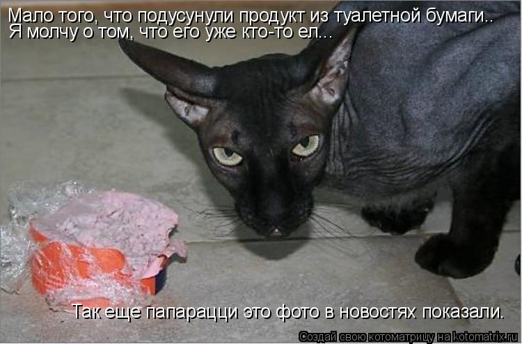 Мало того, что подусунули продукт из туалетной бумаги.. Я молчу о том, что его уже кто-то ел... Так е... Котоматрица: Мало того, что подусунули продукт из туалетной бумаги.. Я молчу о том, что его уже кто-то ел... Так еще папарацци это фото в новостях показали.