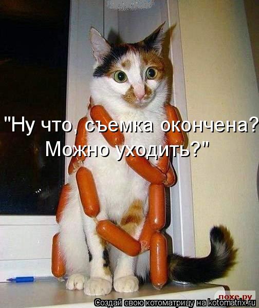 "Ну что, съемка окончена? Можно уходить?"... Котоматрица: "Ну что, съемка окончена? Можно уходить?"