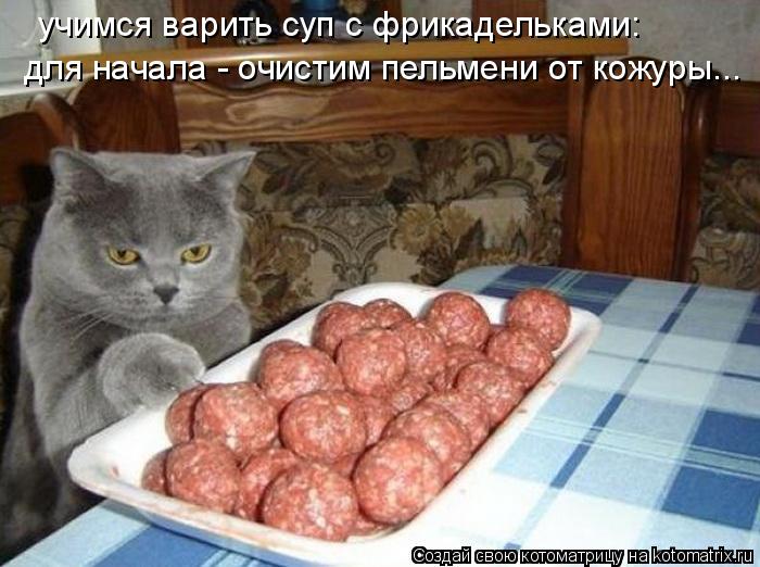 учимся варить суп с фрикадельками: для начала - очистим пельмени от кожуры...... Котоматрица: учимся варить суп с фрикадельками: для начала - очистим пельмени от кожуры...