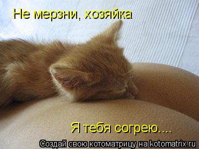 Котоматрица: Не мерзни, хозяйка Я тебя согрею....