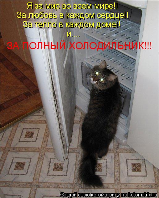 Я за мир во всем мире!! За любовь в каждом сердце!! За тепло в каждом доме!! и.... ЗА ПОЛНЫЙ ХОЛОДИЛЬ... Котоматрица: Я за мир во всем мире!! За любовь в каждом сердце!! За тепло в каждом доме!! и.... ЗА ПОЛНЫЙ ХОЛОДИЛЬНИК!!!