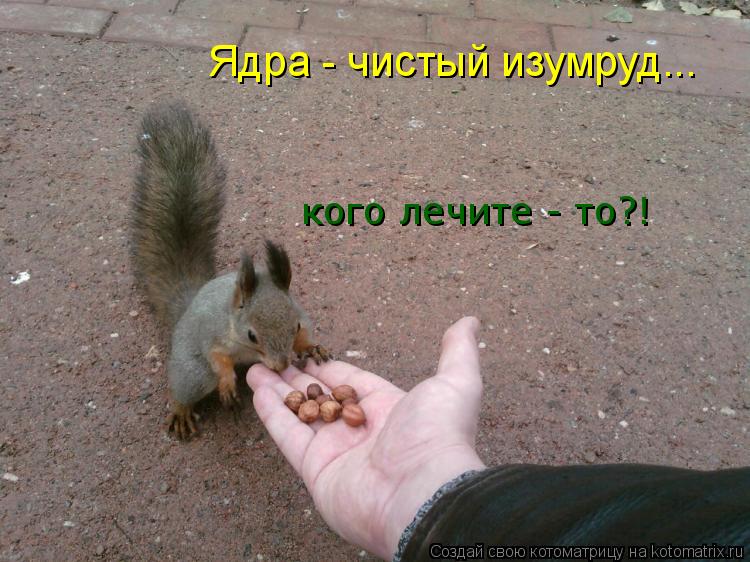 Ядра - чистый изумруд... кого лечите - то?!... Котоматрица: Ядра - чистый изумруд... кого лечите - то?!